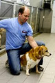 Bekkers Pet Care image 5