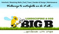 Big B Newmarket Landscaping Design and Sod Suppliers Services image 2