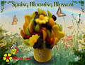 Blossoms Fresh Fruit Arrangements image 3