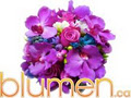 Blumen Floral Boutique Ltd. image 2