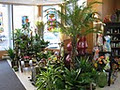 Boutique Fleuriste Valleyfield Inc. image 3