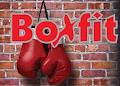 Boxfit logo