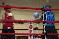 Boxing Saskatchewan Inc image 3