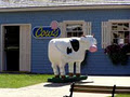 COWS- Peakes Quay logo