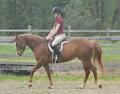 Caledon Equestrian Park image 5