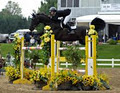 Caledon Equestrian Park logo