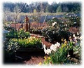 Campbell River Garden Centre image 2
