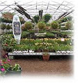 Campbell River Garden Centre image 1