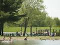 Camping Du Village Bromont image 6