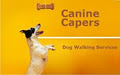 Canine Capers Dog Walking, Daycare, Boarding and House Sitting logo