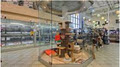 Centre D'Animaux NATURE Pet - Westmount image 3
