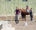 Centre Equestre De Bromont Inc image 1