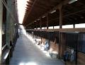 Chaster Creek Farm & Stables Inc image 6