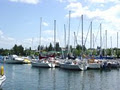 City of Cold Lake Marina image 6
