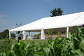 Classic Party Rentals image 3
