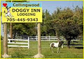 Collingwood Doggy Inn Lodging Dog Kennel and Boarding logo