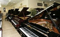 Cosmo Music - The Musical Instrument Superstore! image 6