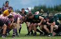 Cowichan Rugby Club image 2