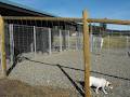 Cozy Paws Kennels image 3