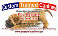 Custom Trained Canines, Daycare and Boarding image 6