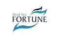 Dead Sea Fortune Canada inc. logo