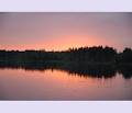 Deer Lake Boat Rentals image 1