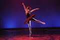 Destination Danse Inc image 3