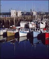 Destination Southwest Nova Association image 1