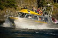 Discovery Marine Safaris LTD. image 5