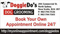 Doggie Do's Dog Grooming image 5