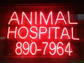 Eglinton-Hwy 10 Veterinary Clinic image 4