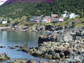 FindNL Photography - Tourism Destinations image 5