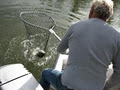 Fishing/Sledding On My Time image 6