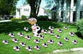 Flamingo Party & Friends image 2