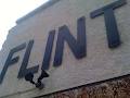 Flint image 2