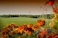 Fox Meadow Golf & Country Club image 2