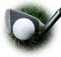 Golf Systems logo