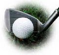 Golf Systems image 1