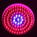 Grow LED Lights Pro image 4