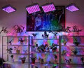 Grow LED Lights Pro logo
