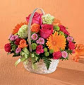 Grower Direct Fresh Cut Flowers image 3