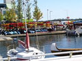 Harbourfront Canoe & Kayak Centre logo