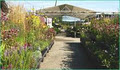 Harper's Garden Centre image 4