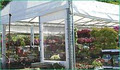 Harper's Garden Centre image 6
