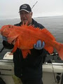 Hecate Strait Fishing Charters Prince Rupert image 5