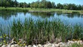 Henderson Lake Golf in Lethbridge image 3