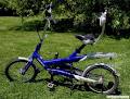 Hip-Ebikes image 5