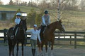 Hockley Hills School of Horsemanship image 2