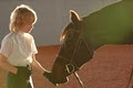 Hockley Hills School of Horsemanship image 6