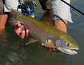 Home Waters Guide Service & Fly Shop image 4